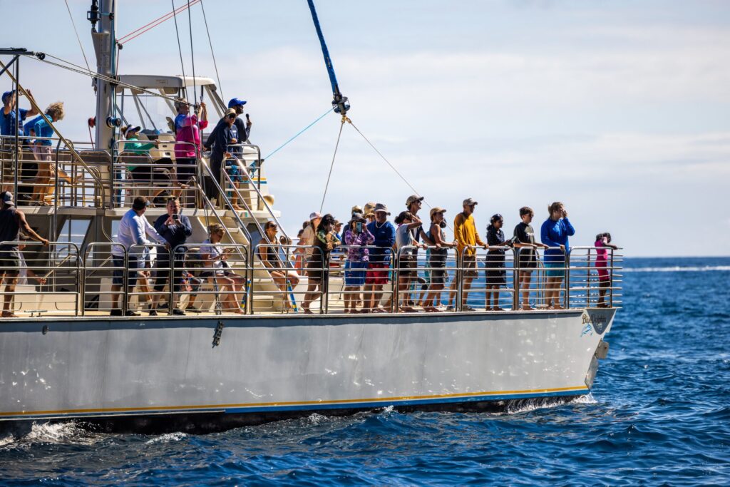Catamaran Tour of the Na Pali Coast