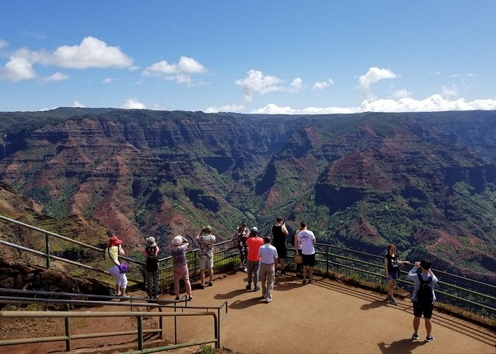 Waimea Canyon Tour